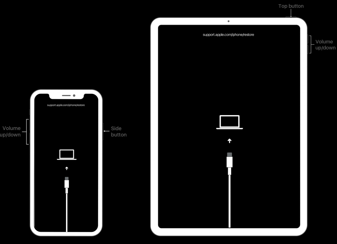 Devre dışı bırakılan iPhone nasıl düzeltilir? iTunes'a Bağlanma Hataları: Mac'e Bağlan