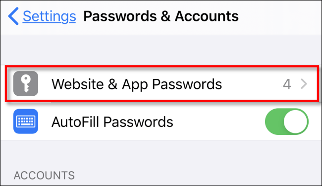 اضغط على موقع الويب وكلمات مرور التطبيقات في الإعدادات على iPhone