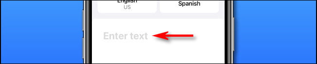 في ترجمة Apple على iPhone ، انقر على منطقة "إدخال النص" لإدخال نص لترجمته.