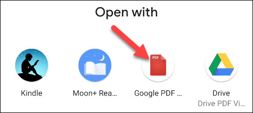 Google pdf viewer