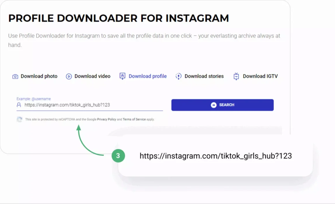 تنزيل مقاطع فيديو وقصص Instagram على جهاز الكمبيوتر