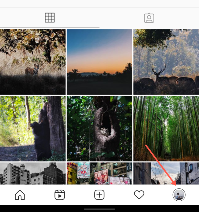 قم بزيارة علامة التبويب Profile على تطبيق Instagram