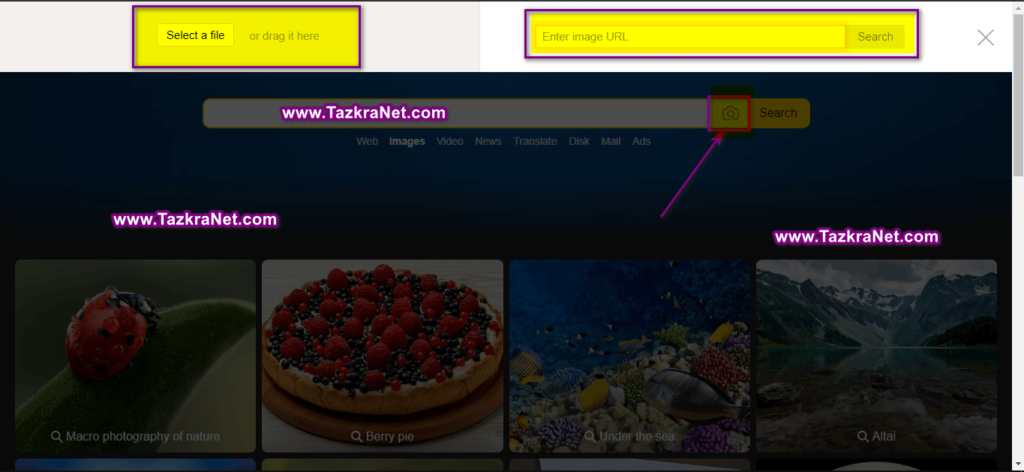 طريقة البحث في ياندكس بالصور