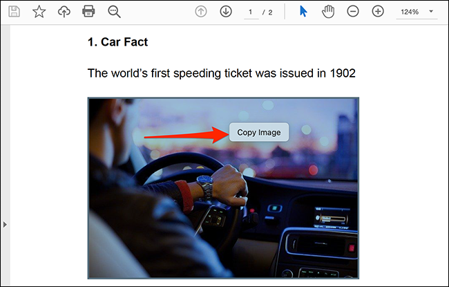 انقر بزر الماوس الأيمن فوق الصورة في ملف PDF وحدد "نسخ الصورة" في برنامج Acrobat Reader.