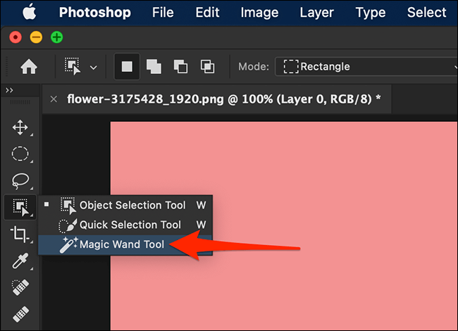 magic wand tool