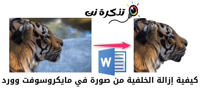 كيفية إزالة الخلفية من صورة في الوورد (Microsoft Word)
