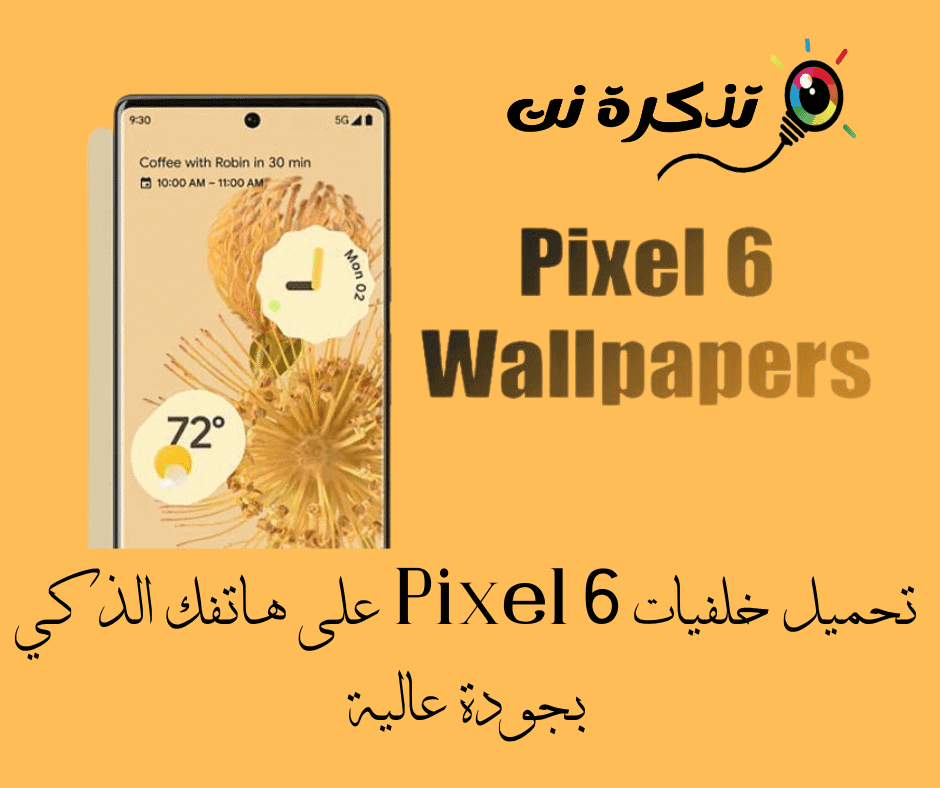 Mách bạn hơn 94 hình nền pixel 6 pro hay nhất  Tin học Đông Hòa