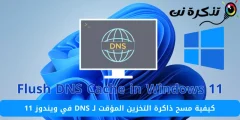 Kaip išvalyti DNS talpyklą sistemoje „Windows 11“.