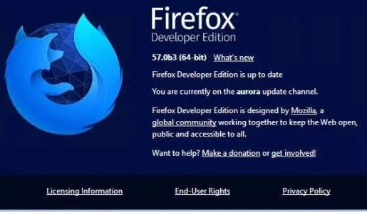 Firefox Developer Edition