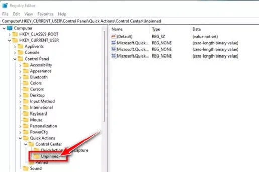HKEY_CURRENT_USER\Control Panel\Quick Actions\Control Center\Unpinned