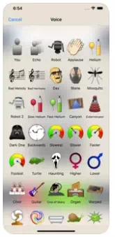 Voice Changer Plus