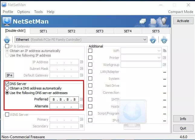 NetSetMan DNS server