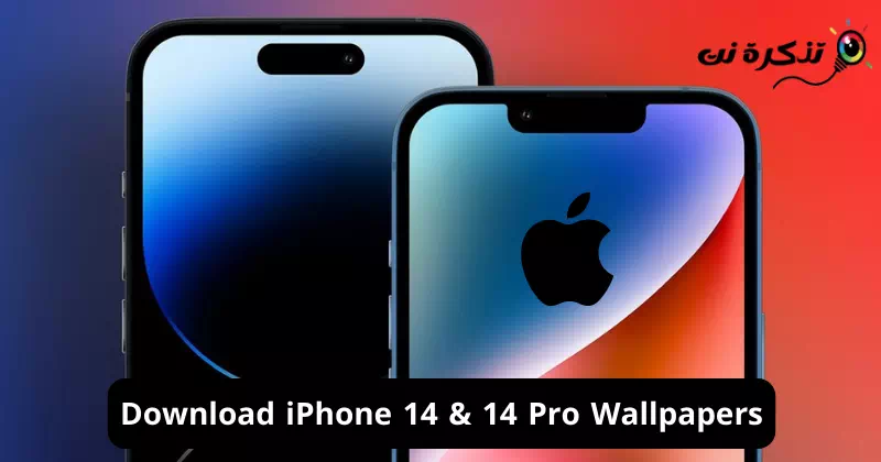 Download iPhone 14 & 14 Pro Wallpapers