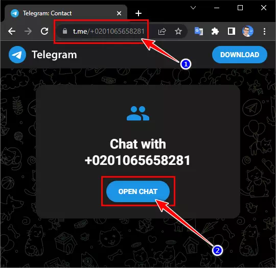 使用短链接中的电话号码开始打开 ​​Telegram 聊天