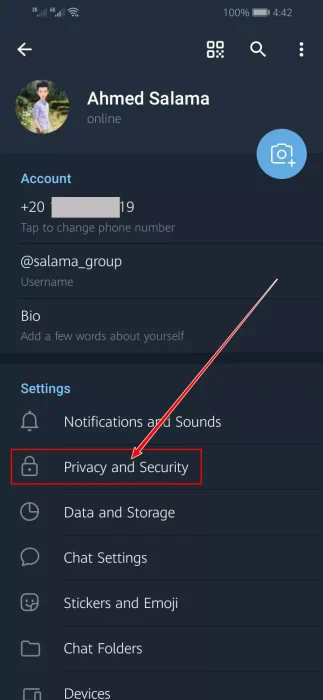 Privacy è sicurezza in l'app Telegram