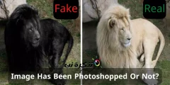 Hur man upptäcker foton som har modifierats med Photoshop