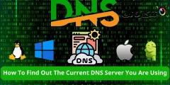 如何找出您正在使用的 DNS 服務器