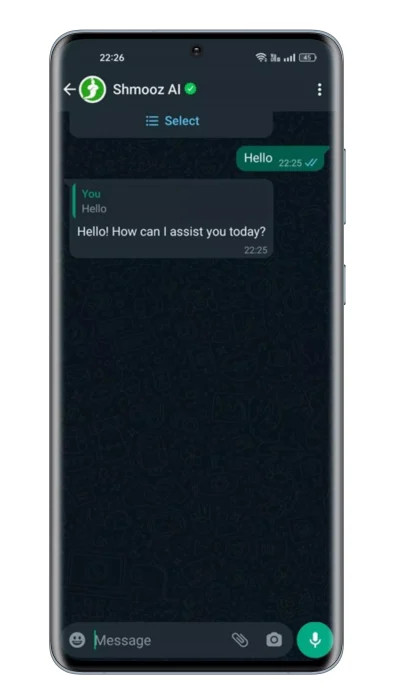 הוא התחיל את השיחה עם Shmooz AI בוואטסאפ