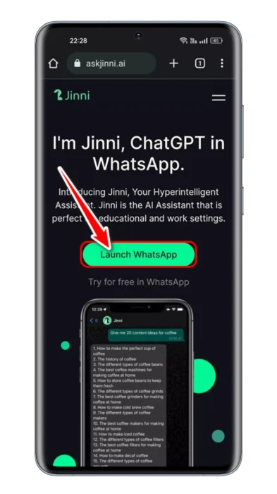 Lunch Jinni AI ChatGPT on WhatsApp