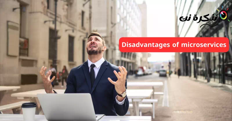 سلبيات تقديم الخدمات المصغرة