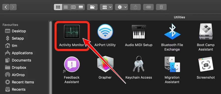 Activity Monitor on Mac